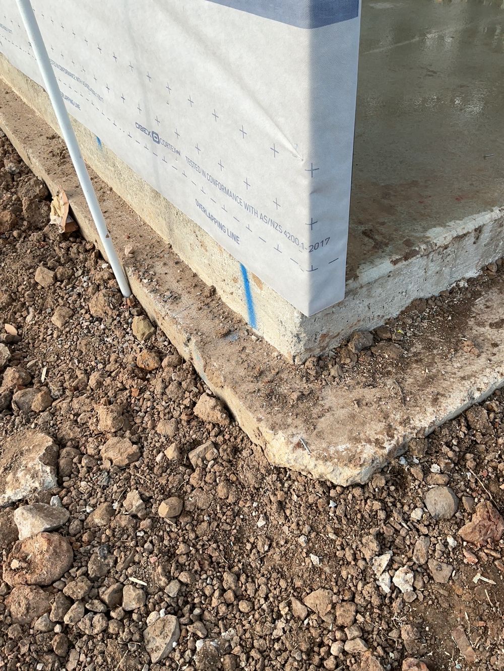 Termites around Cobbitty, Cobbitty
